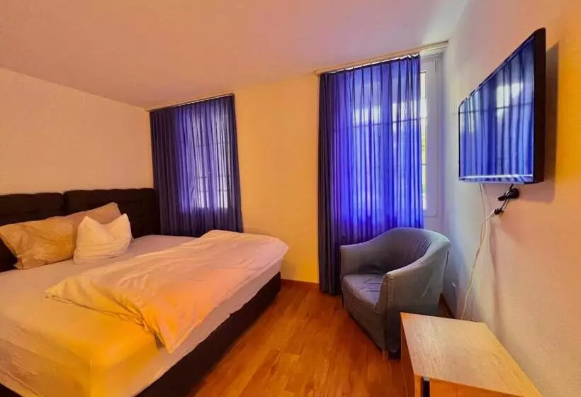 هتل Hirschen Hinwil