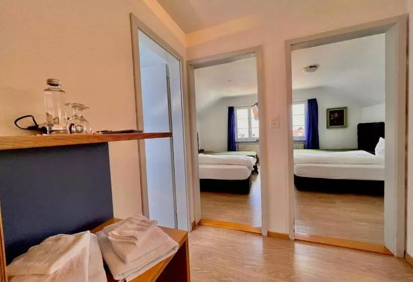 هتل Hirschen Hinwil