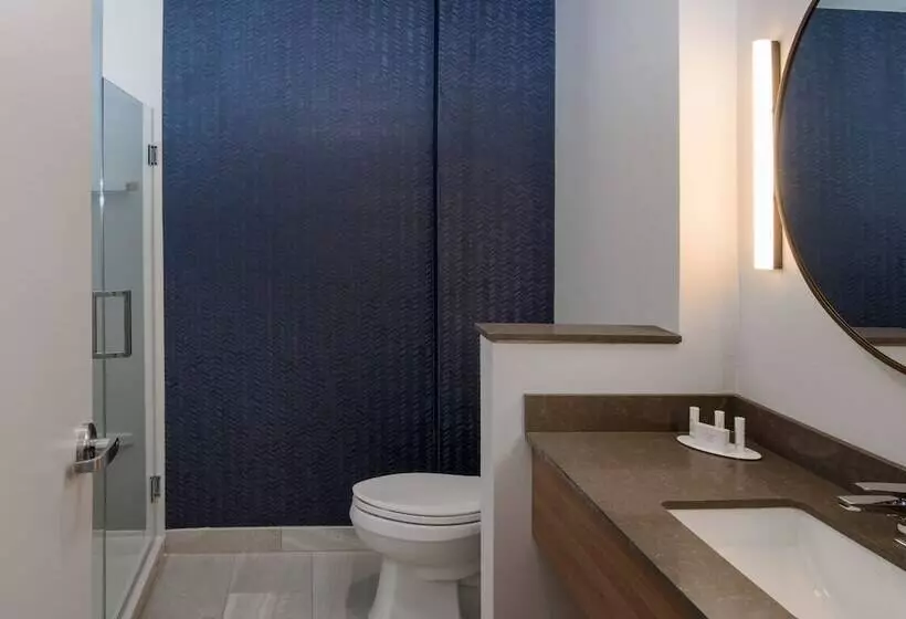 ホテル Fairfield Inn & Suites By Marriott Duluth Waterfront