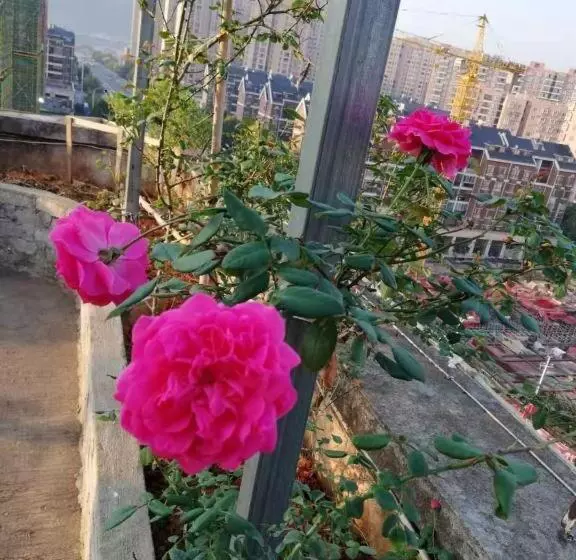 Kaibin International Hotel Jingdezhen