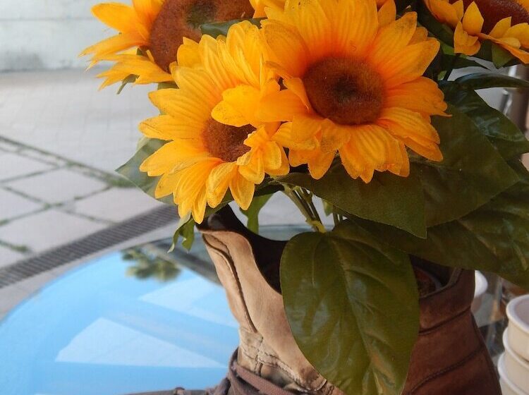 فندق ريفى Agritur Girardelli