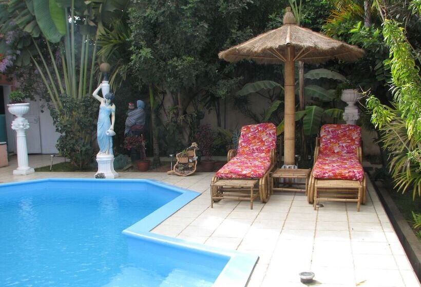 پانسیون Avamada Lodge