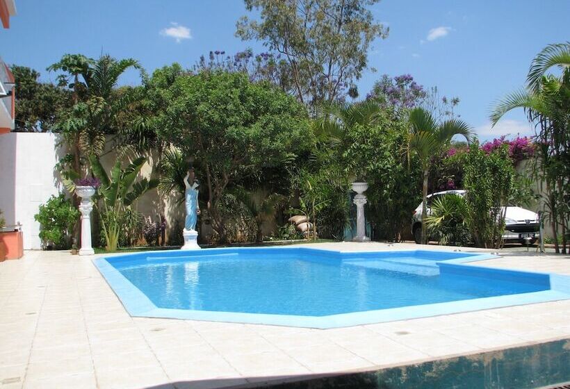 پانسیون Avamada Lodge