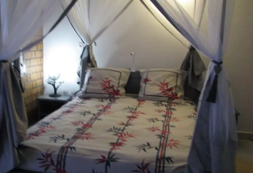 پانسیون Avamada Lodge