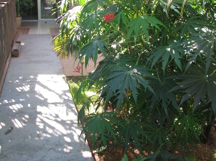 پانسیون Avamada Lodge