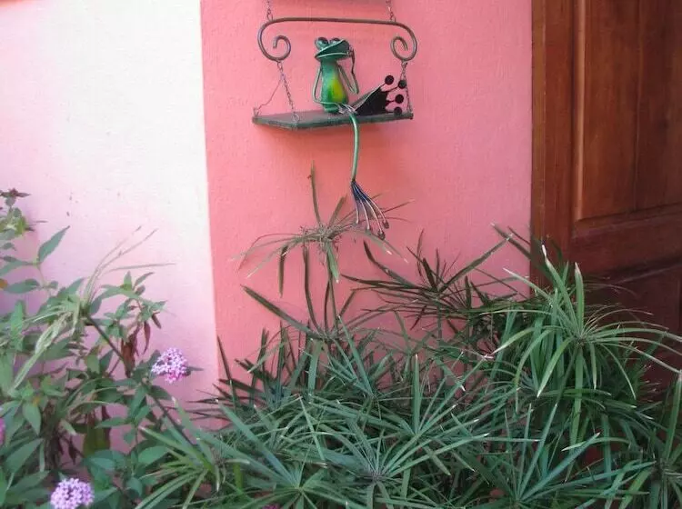 پانسیون Avamada Lodge