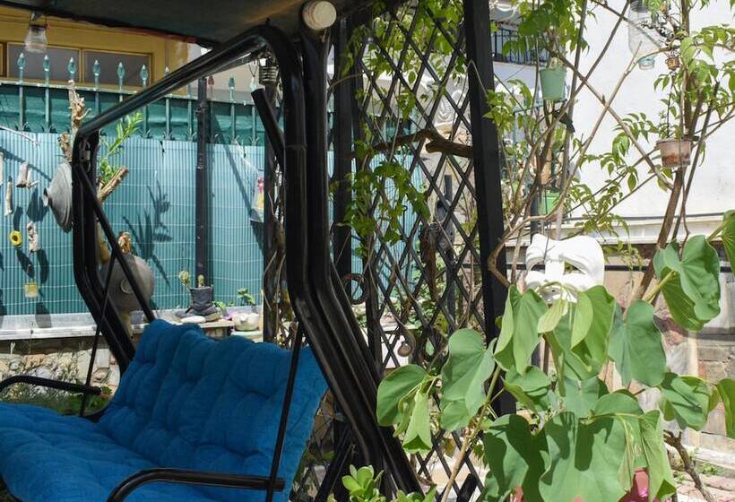 Urban Seaside Oasis   Adriana S Garden Paradise