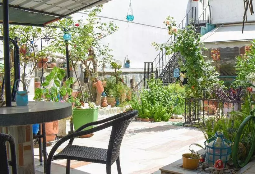 Urban Seaside Oasis   Adriana S Garden Paradise