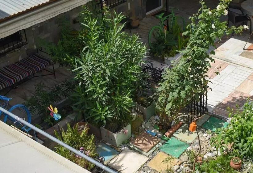 Urban Seaside Oasis   Adriana S Garden Paradise