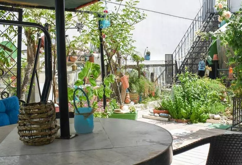 Urban Seaside Oasis   Adriana S Garden Paradise