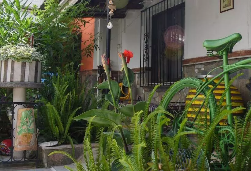 Urban Seaside Oasis   Adriana S Garden Paradise