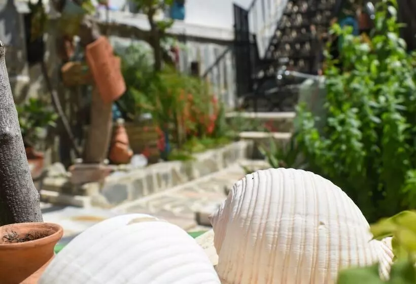Urban Seaside Oasis   Adriana S Garden Paradise