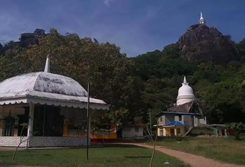 هتل Lion Resort