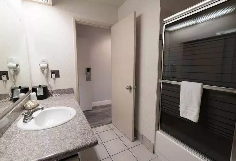 ホテル International