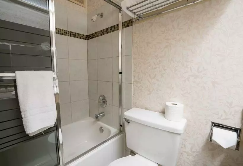 ホテル International