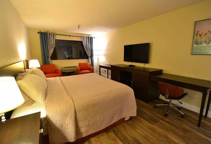 ホテル International