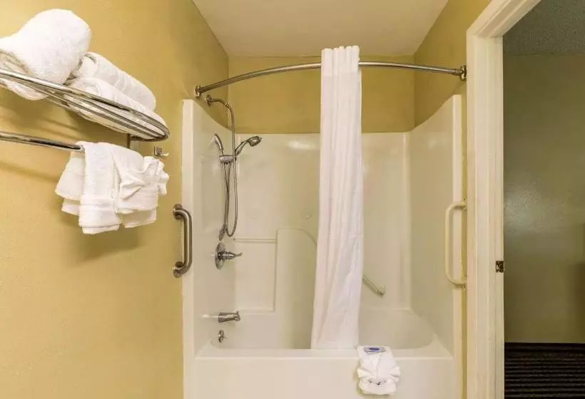 호텔 Rodeway Inn Alexandria