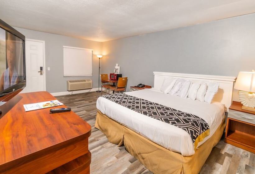 فندق Sunshine Inn