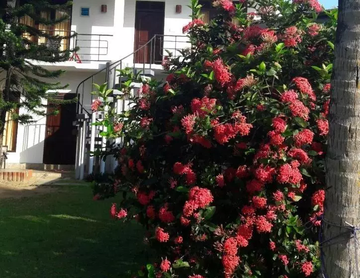 ホテル Dreamvillage