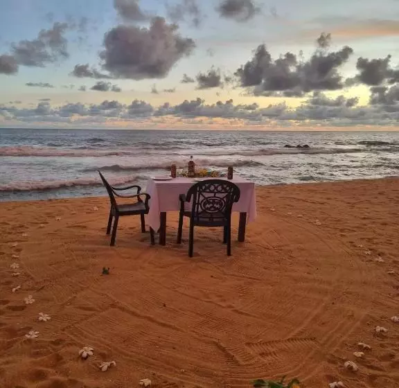 ホテル Dreamvillage