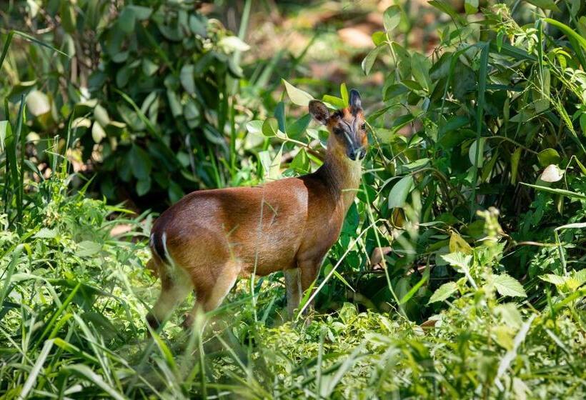 هتل W15 Hanthana Estate Kandy