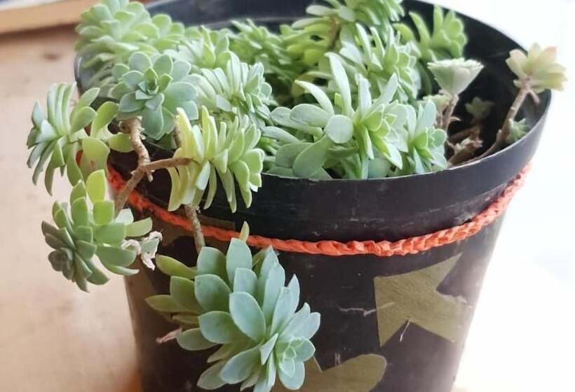 پانسیون Hostal Bremen