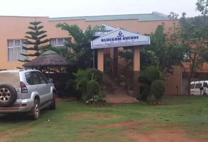 هتل Bluegum Avenue Lodge