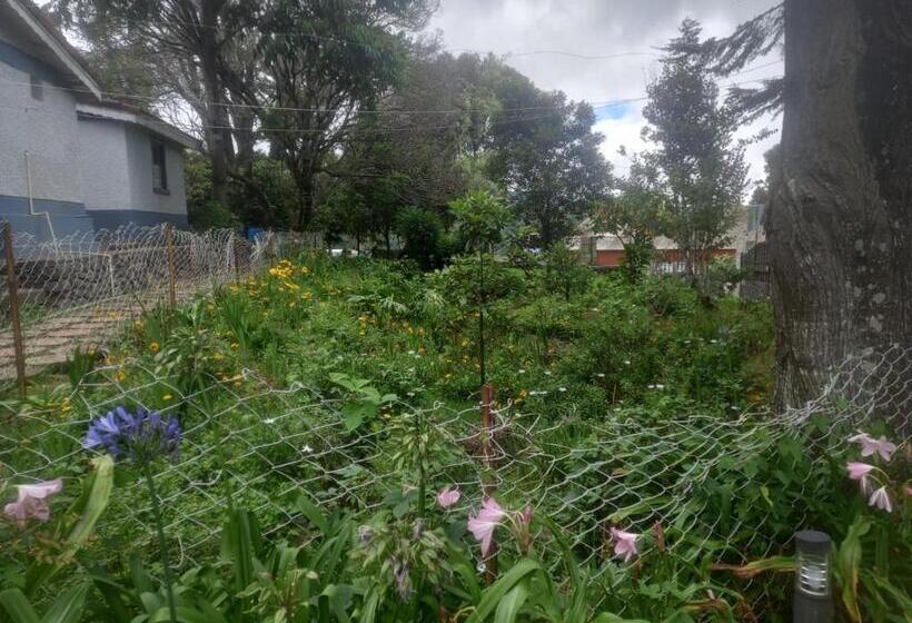 Hotelli Bruton Resorts