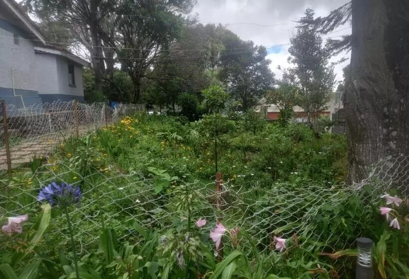 Hotelli Bruton Resorts