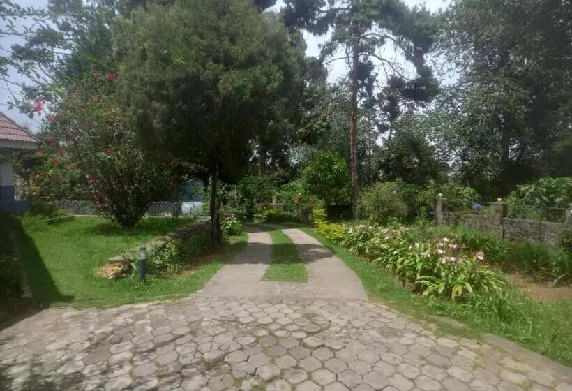 Hotelli Bruton Resorts