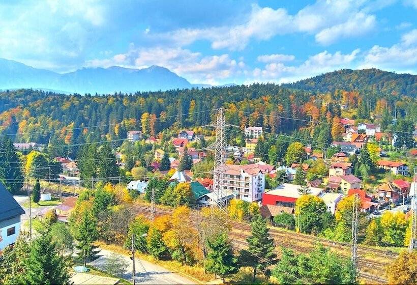 酒店 Pensiunea Alpin Predeal