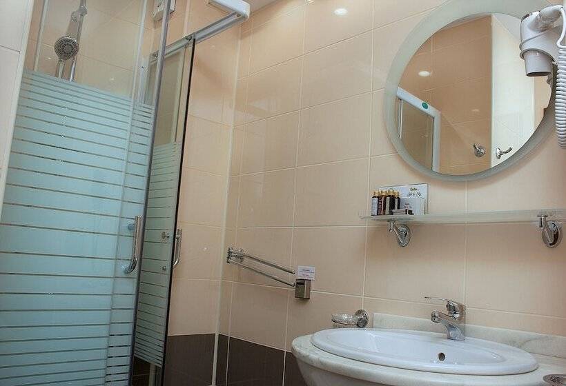 Отель Pensiunea Alpin Predeal