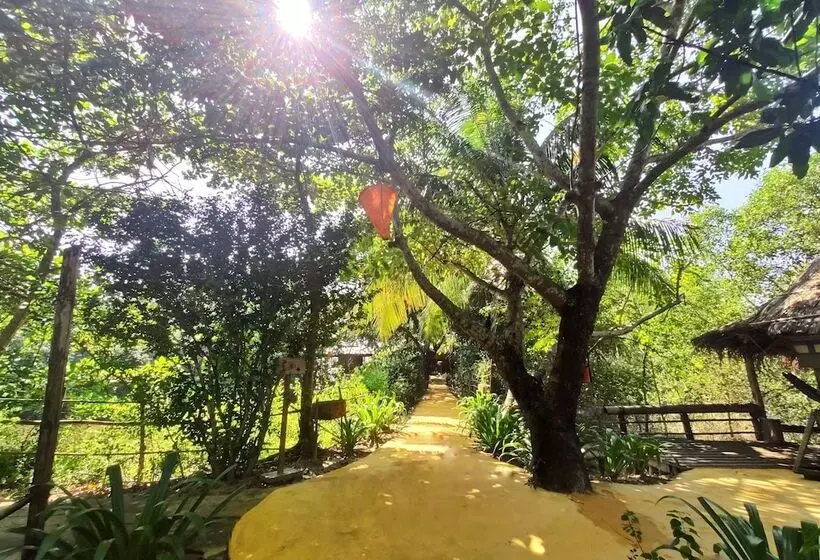 Mermaid Beach Resort