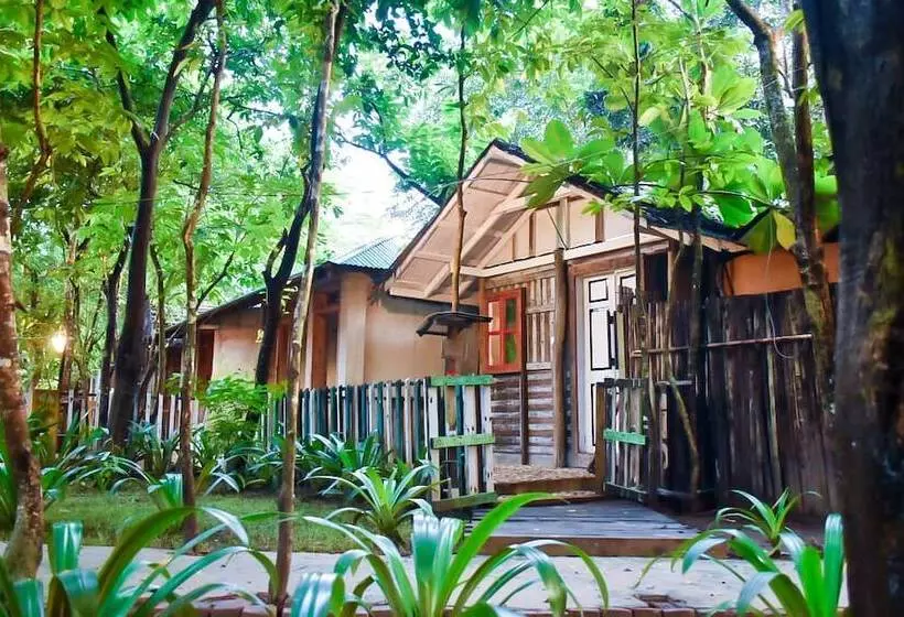 Mermaid Beach Resort