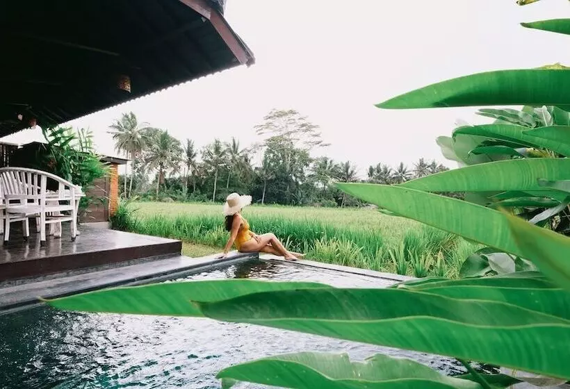 リゾートホテル Kayangan Villa Ubud