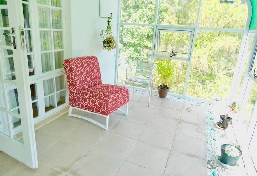 The Whitehouse Bed And Breakfast