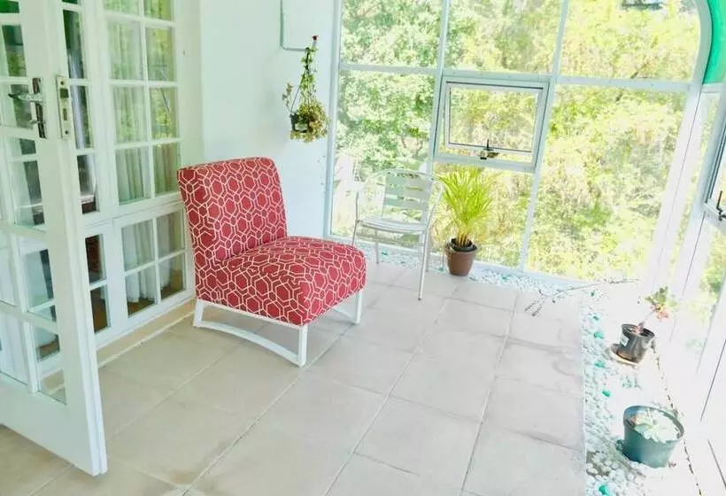 The Whitehouse Bed And Breakfast