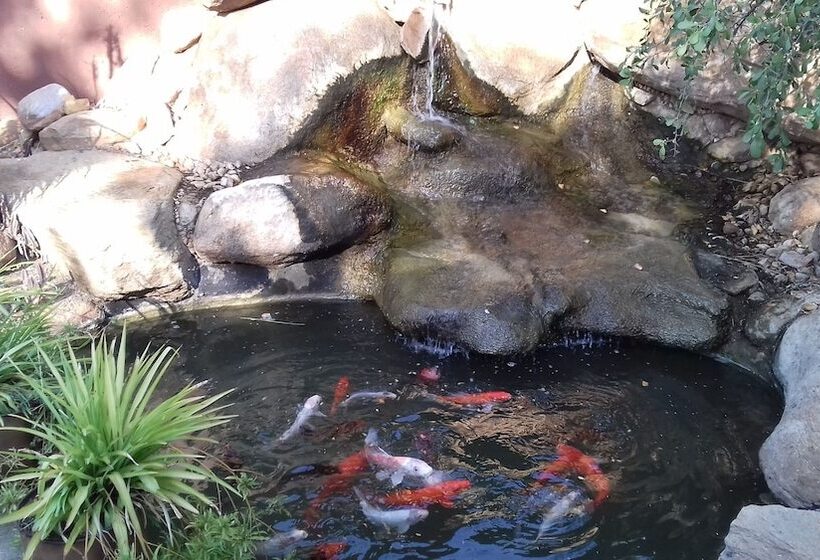 هتل Phokoje Bush Lodge