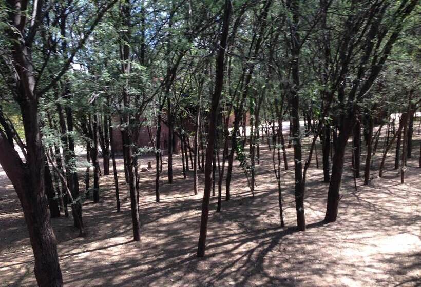 هتل Phokoje Bush Lodge