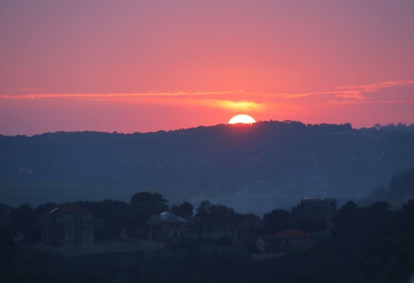 هتل The Shoebill Nest