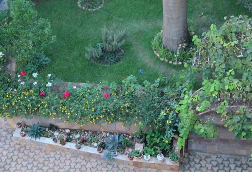 هتل The Shoebill Nest