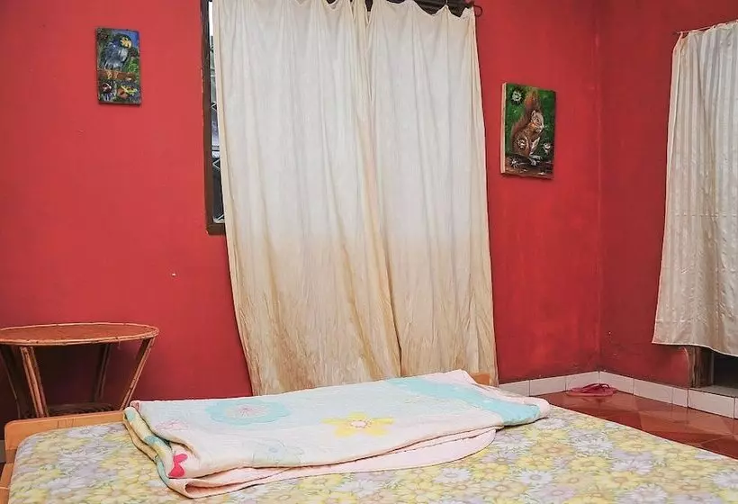 هتل Venchester Guesthouse