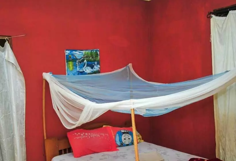 هتل Venchester Guesthouse