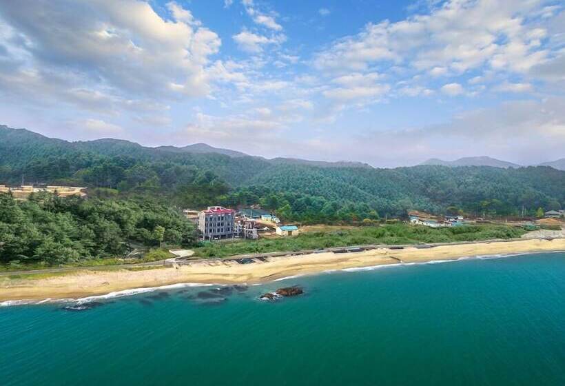 Winner House Pension