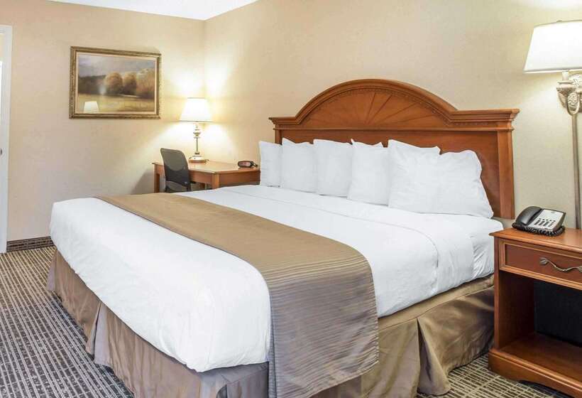 فندق Quality Inn