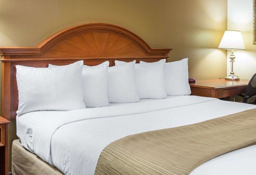 Отель Quality Inn