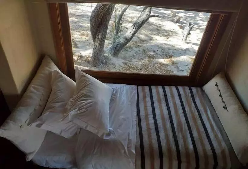 Hotelli Zangarna Game Lodge