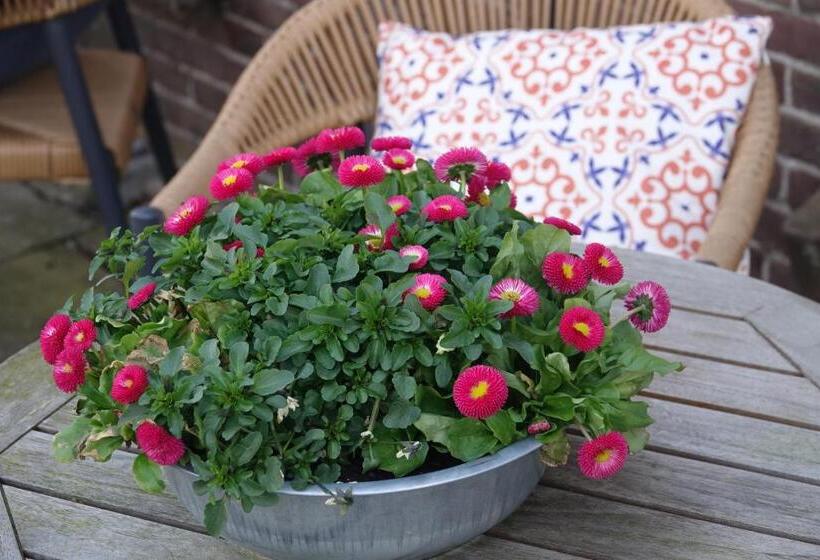 ホテル Het Anker Van Texel