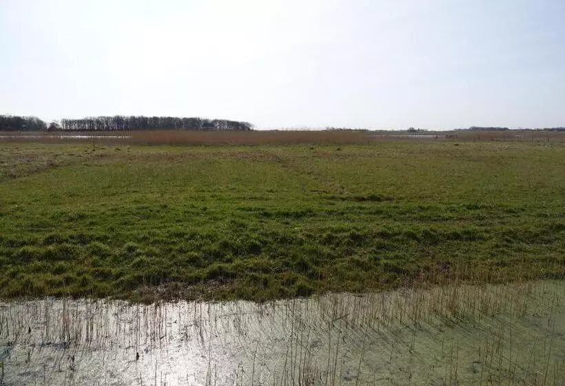 Hotelli Het Anker Van Texel