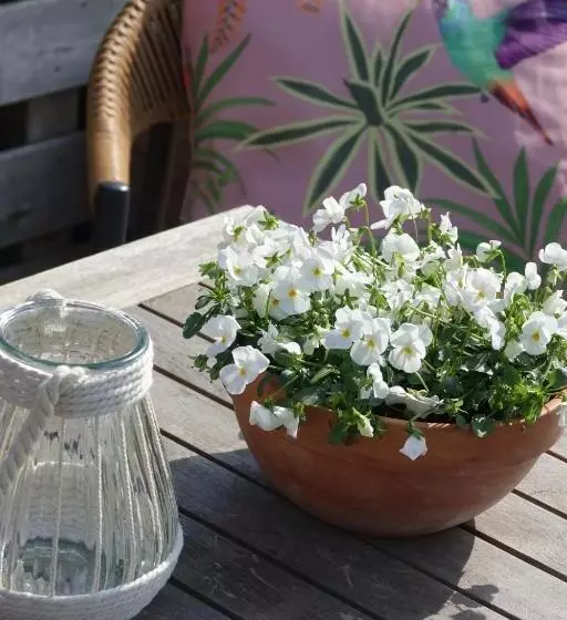 Hotelli Het Anker Van Texel